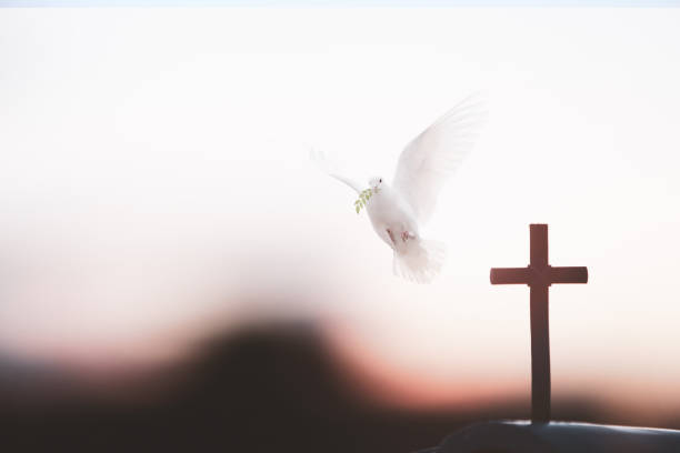 Holy Cross of Jesus Christ and white dove and sunset The white dove and the holy cross of Jesus Christ symbolize death and resurrection love. cross shape cross religion christianity stock pictures, royalty-free photos & images