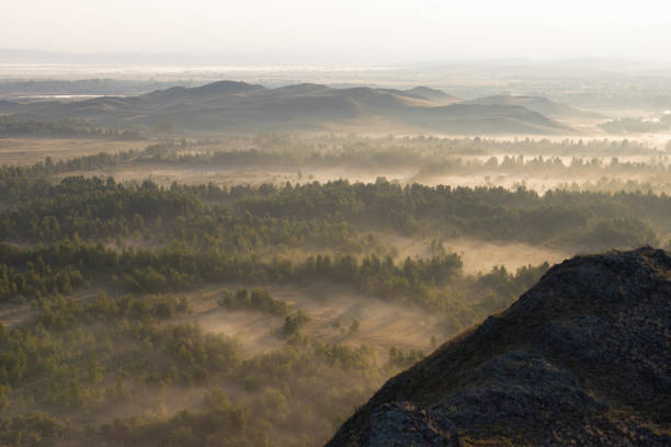 istock forest in the fog at dawn 1419317914