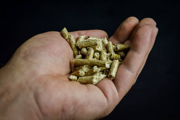 istock hand holding wood pellets going into the stove, alternative heating energy solution, close up 1419322761