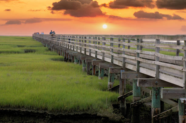 puesta de sol en el paseo marítimo de grays beach en cape cod - cape cod new england sea marsh fotografías e imágenes de stock