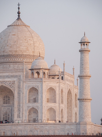 Hot air balloons soaring over the Taj Mahal in Agra city.