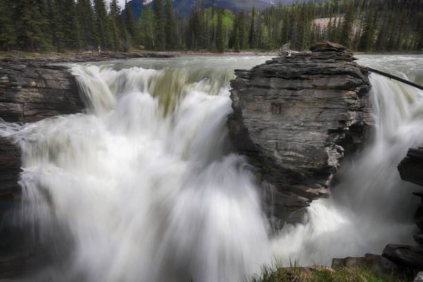istock Athabasca Falls, Jasper National Park, Alberta, Canada 1419326584