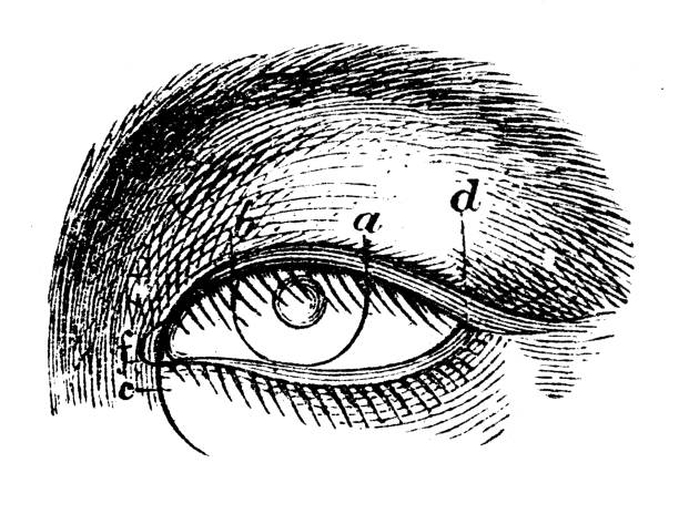 istock Antique illustration, ethnography and indigenous cultures: Japanese eye 1419328128