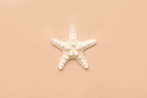 istock Starfish sea on beach beige background. Summer background. Decorative textile . Isolated object. 1419329253