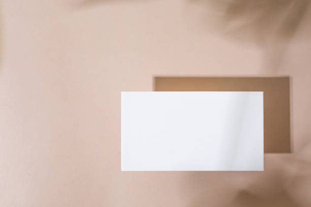 istock Template paper with green plant shadow on pastel beige background , great design for any purposes. Abstract background. Banner template. Advertising 1419329593