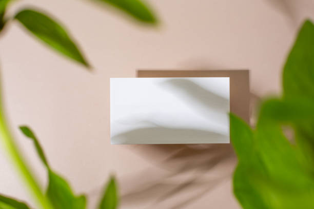 istock Template paper with green plant shadow on pastel beige background , great design for any purposes. Abstract background. Banner template. Advertising 1419329594