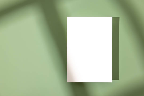 istock Template paper with shadow on pastel green background , great design for any purposes. Abstract background. Banner template. Advertising 1419331323