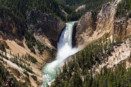 Lower Falls of the Yellowstone River crashing into the canyon as seen from North Rim's Lookout Point, Yellowstone National Park, Wyoming, USA