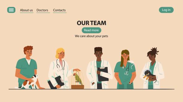 ilustrações de stock, clip art, desenhos animados e ícones de vet clinic medical team with animals. veterinary website template vector illustration. female and male veterinarians in uniform holding pets.  doctors professional team - clínica veterinária