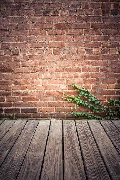 muro esterno in mattoni con pavimento in legno e inquietante vite di edera verde. - ivy brick wall vine foto e immagini stock