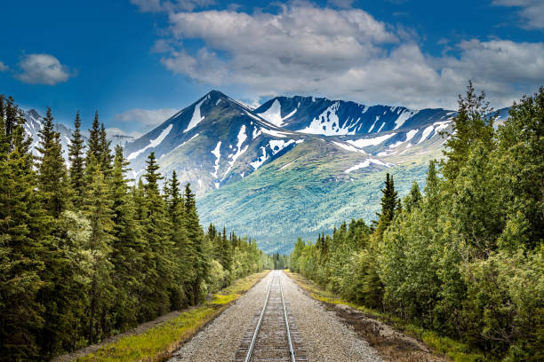 Railroad to Denali National Park, Alaska with impressive mountains stock photo