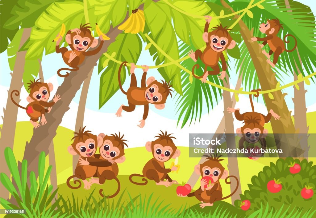 Cute Monkeys In Jungle Cartoon Tropical Animal Characters In Rainforest  Wild Exotic Fauna Marmosets Hanging On Vines Macaques Eating Fruits Forest  Foliage Splendid Vector Concept Stock Illustration - Download Image Now -  iStock