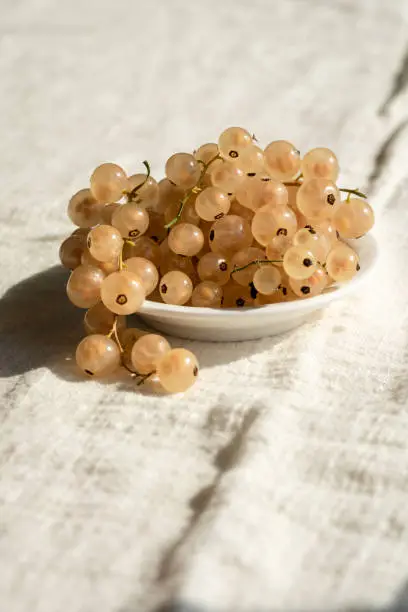 Close-up of fresh white currants in small bowl, fruit on bright white background