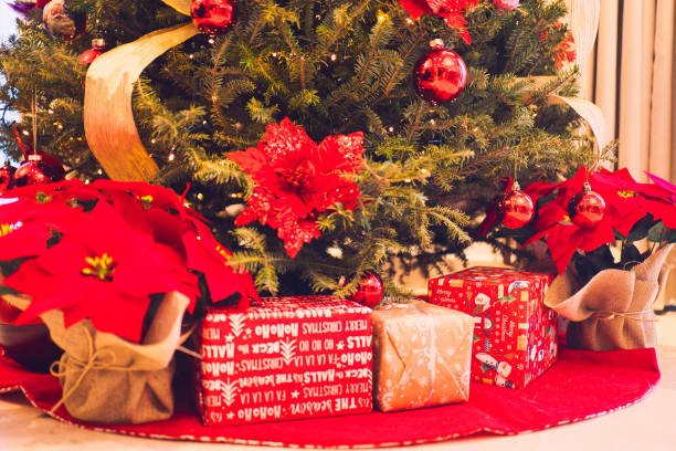 istock Holiday Season Vibes 1419349148