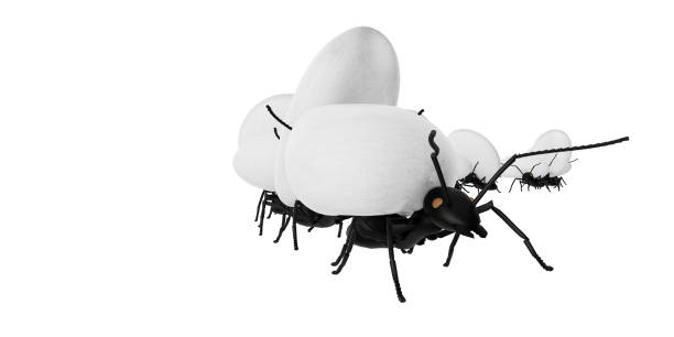 istock concept work, team of ants 1419353491