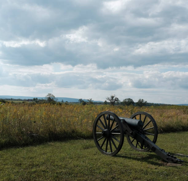 istock Canon in field 1419356394