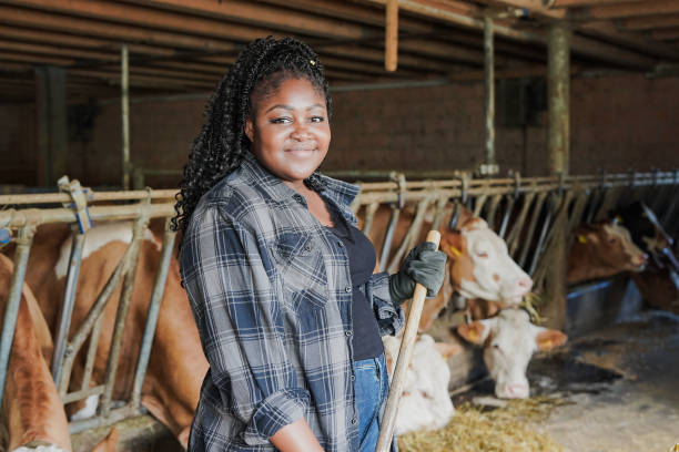 une jeune agricultrice africaine regardant la caméra alors qu’elle travaille à l’intérieur d’une étable - cattle shed cow animal photos et images de collection