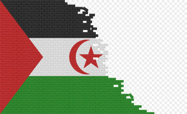 Western Sahara flag on broken brick wall. Empty flag field of another country. Country comparison. Easy editing and vector in groups. western sahara stock illustrations