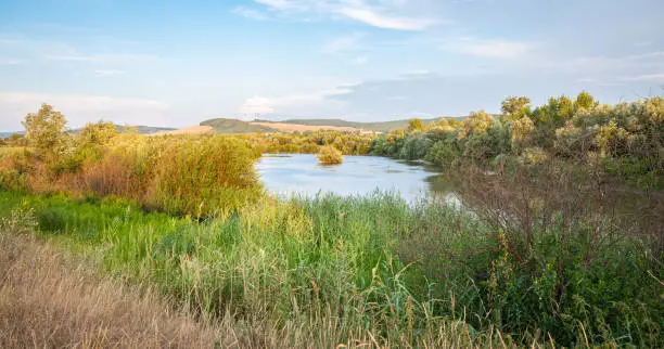 Panoramic view of river Mures in central Transylvania, Romania on a sunny evening in summer.