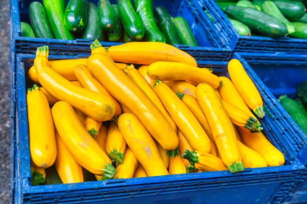 farmer's market summer squash -assorted yellow and green zucchini and squash farmers market zucchini Yellow Squash stock pictures, royalty-free photos & images