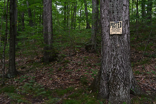 No trespassing sign in New England forest. Taken in Washington, Connecticut.