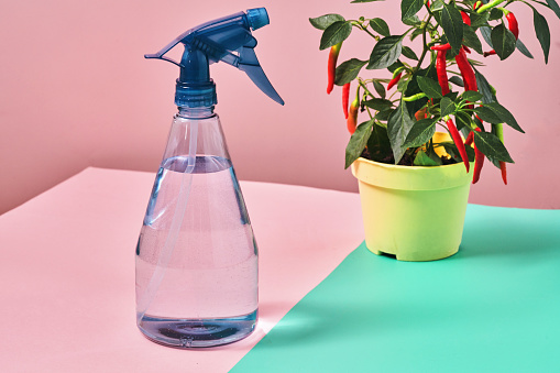 Plastic Water Spray Bottle on Vibrant Background