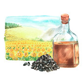 istock Bottle of sunflower oil, seeds, landscape. Watercolor illustration. Isolated on a white background. 1419376088