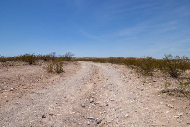 istock single lane dirt road in the desert 1419378990