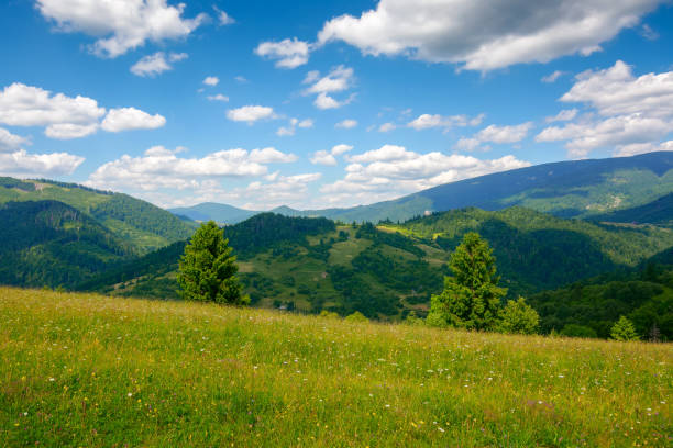 green field on the hill in mountains stock photo