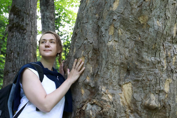 istock Woman touching tree with her hands in forest 1419381282