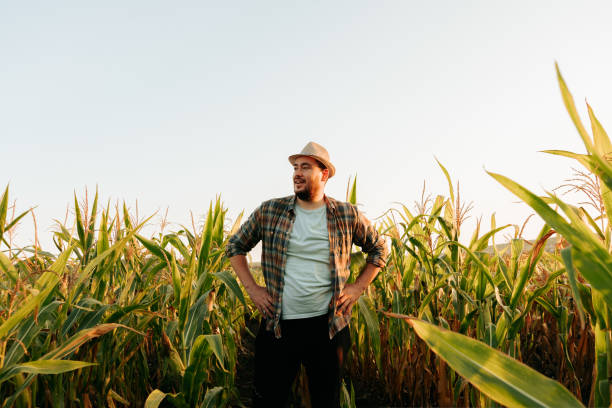 istock A handsome young man farmer stands in a cornfield, looks thoughtfully into the distance, front view. 1419383300