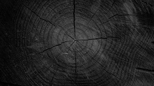 istock Sawed wood natural wooden background 1419388782
