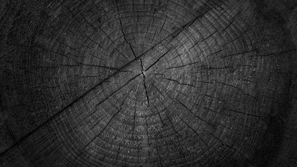 istock Sawed wood natural wooden background 1419388801