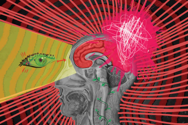 ilustrações, clipart, desenhos animados e ícones de mês da saúde mental - brain human nervous system contemplation healthcare and medicine
