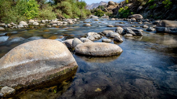 Sunny Day by a Creek Finding peace in Lake Kaweah located in California nature reserve stock pictures, royalty-free photos & images