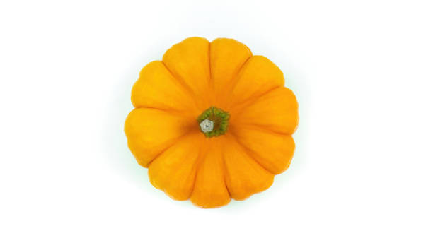 Small orange pumpkin top view with copy space. Decorative squash flat lay. A beautiful crusty edible gourd for a vegetarian diet. Small orange pumpkin top view with copy space. Decorative squash flat lay. A beautiful crusty edible gourd for a vegetarian diet. miniature pumpkin stock pictures, royalty-free photos & images