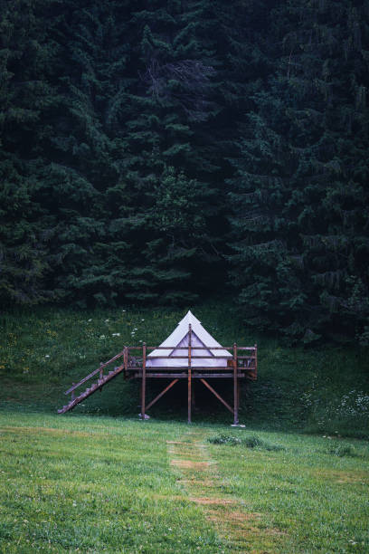 istock glamping tent in green meadow surrounded by fir tree forest 1419390331