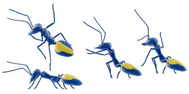 istock concept work, team of ants 1419394403