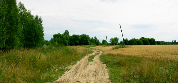 A dirt country road between a field and a forest