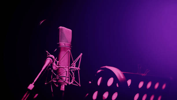Professional microphone and anti vibration on mic stand. Microphone in sound studio production. Close up microphone and Shock mount pop filter at studio. Condenser mic against dark and copy space. micrófono profesional y anti vibración en soporte de micrófono. micrófono en producción de estudio de sonido. cierre del micrófono y el filtro pop de montaje shock en el estudio. micrófono de condensador contra espacio oscuro y de copia.
