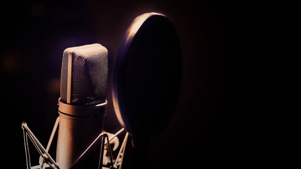 istock Professional microphone and anti vibration on mic stand. Microphone in sound studio production. Close up microphone and Shock mount pop filter at studio. Condenser mic against dark and copy space. 1419396538
