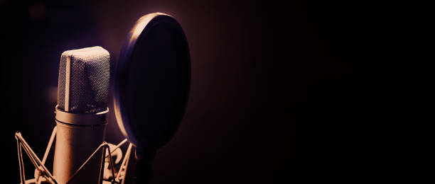 istock Professional microphone and anti vibration on mic stand. Microphone in sound studio production. Close up microphone and Shock mount pop filter at studio. Condenser mic against dark and copy space. 1419396542