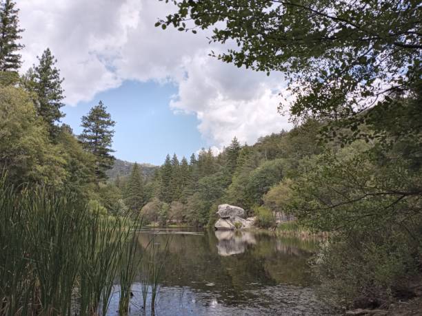 istock Lake Fulmor Rock ,Trees and Water Reflection in Summer 1419397207