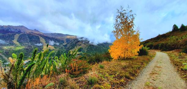 autumn cerro san martin bariloche - south america argentina bariloche autumn imagens e fotografias de stock