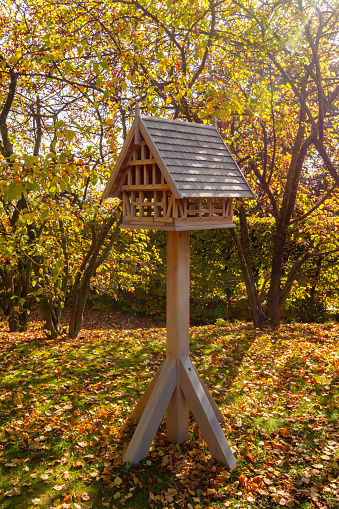 Wooden bird feeder in autumn park