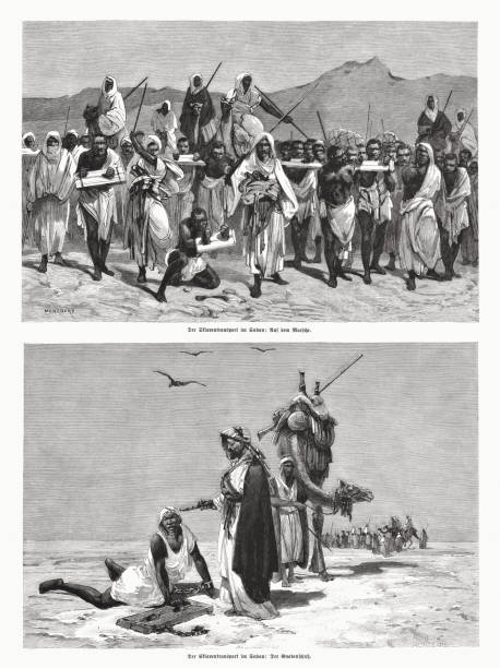 Slave transport in Sudan, wood engravings, published in 1885 Historical representation of a slave transport in Sudan, top: Arab slave traders with slaves on their march through the desert. Below: Coup de grace - the end of an exhausted slave. Slavery in the region of the Sudan has a long history, beginning in the ancient Nubian and ancient Egyptian times and continuing up to the present. Wood engravings after drawings by George Montbard (French painter and illustrator, 1841 - 1905), published in 1885. african slaves stock illustrations