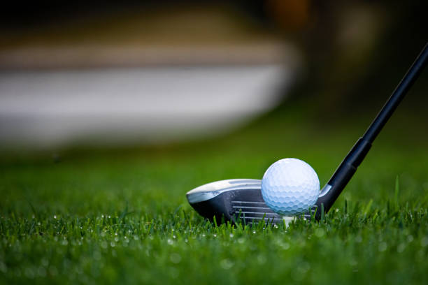 golf equipment for golf, a golf club, golf ball on so golf tee on a dew covered green golf course. - damp course imagens e fotografias de stock