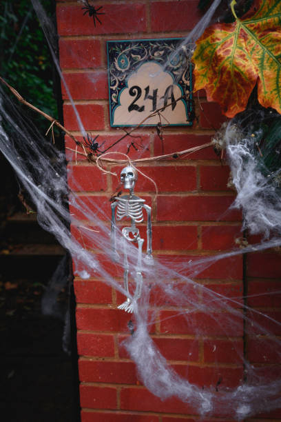 A plastic human skeleton toy with a fake white web on a wall for Halloween decoration in London, UK