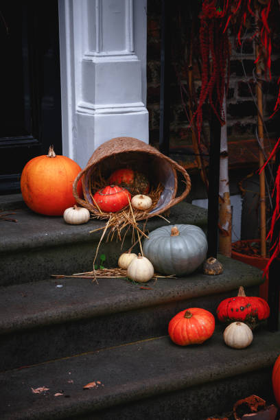 istock Autumn pumpkins vegetable collection as halloween background 1419409539