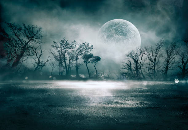 Fog In Spooky Forest At Moon Light On Asphalt - Abstract Bokeh And Filter Toned stock photo